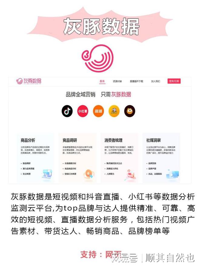 体运营都在用的高效分析工具CQ9电子数据为王！新媒(图4)