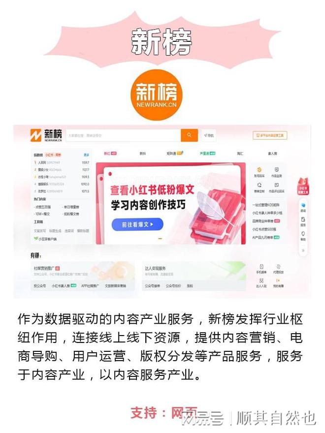 体运营都在用的高效分析工具CQ9电子数据为王！新媒(图5)